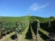 Hagnau am Bodensee