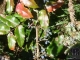 P1050232
