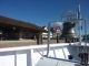 Heimreise mit dem Schiff