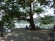 Seeuferpromenade Bregenz