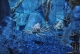 Aquarium im Atlantis
