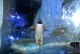 Aquarium im Atlantis