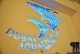 Dubai Aquarium - Dubai Mall